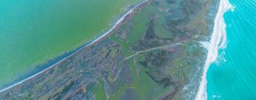 «Чорне море загоює рани та поступово очищується» – еколог Іван Русєв