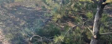 Невідомі вандали пошкодили в'їзну зону Лиманської громади