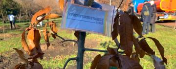 В Одесі у сквері Слави та Волі рідні загиблих українських героїв висадили 49 молодих дубів та ясенів