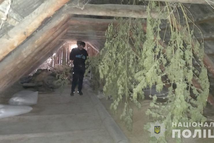 Поліцейські відправили на лаву підсудних жителя Білгород-Дністровського району за незаконні оборудки з наркотиками