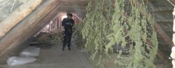 Поліцейські відправили на лаву підсудних жителя Білгород-Дністровського району за незаконні оборудки з наркотиками