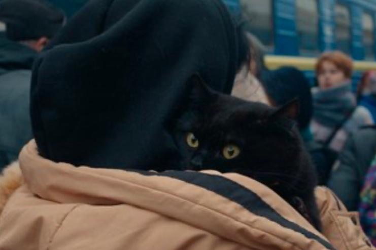 Фільм «Буча» Станіслава Тіунова став найпопулярнішим фільмом на Netflix в Україні