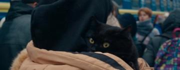 Фільм «Буча» Станіслава Тіунова став найпопулярнішим фільмом на Netflix в Україні