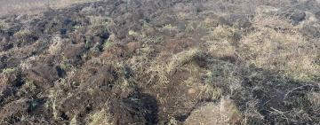 Протиправне розорювання землі в Татарбунарській громаді: поліцейські викрили порушника