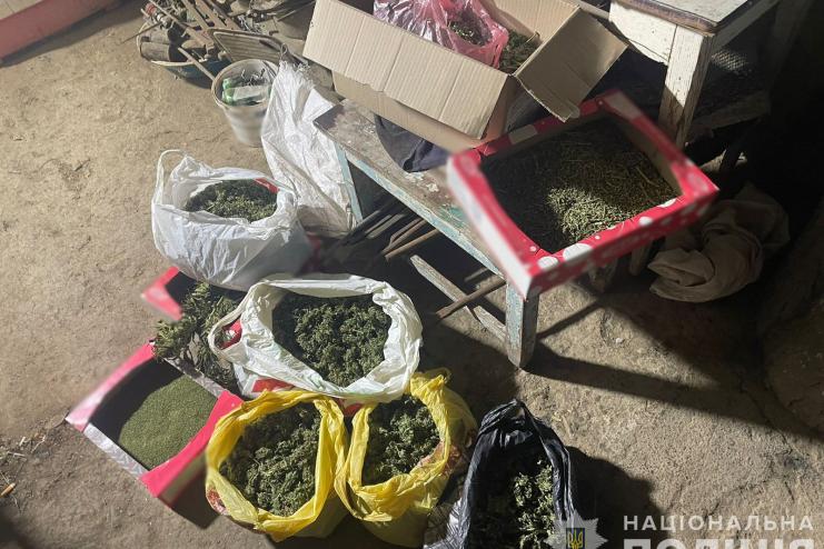 Викрили трьох мешканців Болградського району у незаконних оборудках із наркотиками та психотропами