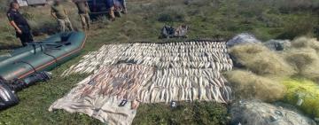 На Одещині браконьєри завдали державі збитків на 1,4 мільйона гривень