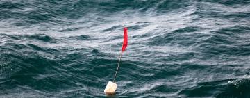 Трагічний випадок у порту Рені: моряка, який впав за борт, шукають рятувальники