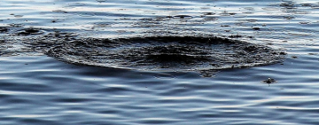 На Дунаї тривають пошуки зниклого чоловіка