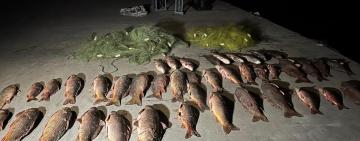 Поліцейські викрили жителя Вилківської громади у браконьєрстві на Білгородському каналі річки Дунай