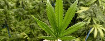 Житель Арцизької громади отримав вирок за зберігання наркотиків