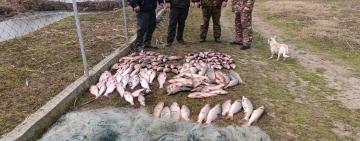 В Ізмаїльському районі викрили браконьєра: збитки державі – понад пів мільйона гривень