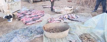 На Ізмаїльщині викрили браконьєрів: збитки рибному господарству перевищують два мільйони гривень