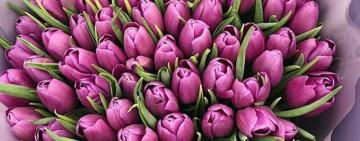 В Арцизькій громаді відбудуться весняні мініконцерти: анонс заходів