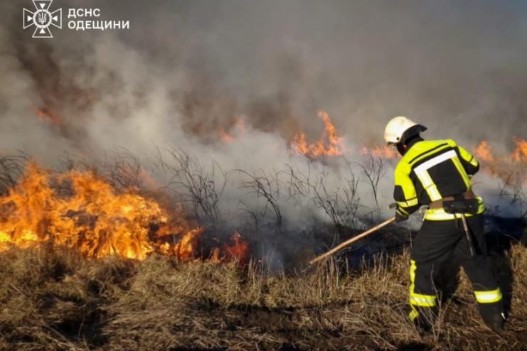 137 пожеж сухої рослинності за тиждень,-ДСНС