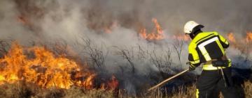 137 пожеж сухої рослинності за тиждень,-ДСНС