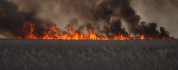  Маякські плавні горять: вогонь охопив понад 10 гектарів, загрожуючи національному парку