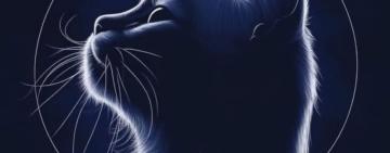 До Татарбунар приїхали зооволонтери з Франції