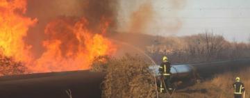 21 мільярд гривень: екологи підрахували суму збитків через масштабну пожежу на Одещині