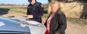 Спалювання сухої рослинночті привело до пожежі в с. Новоселівка: палійку притягли до відповідальності