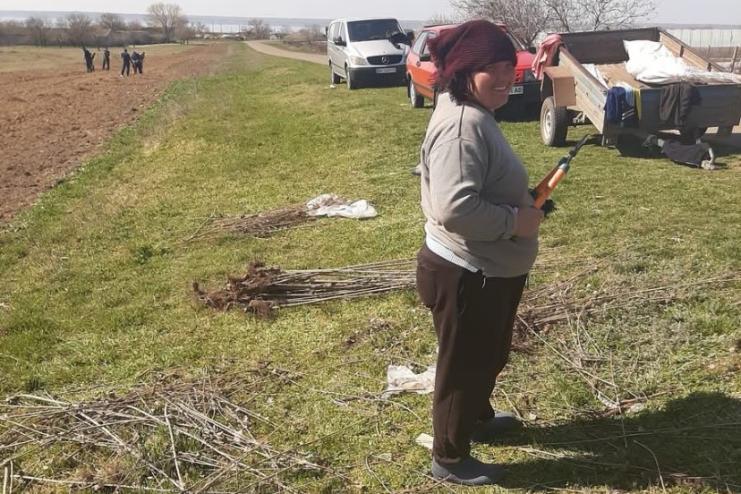 В Криничненській громаді висадять понад 500 дерев