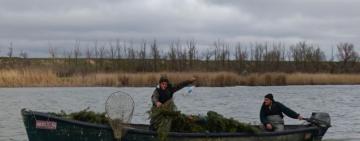 На озерах Ізмаїльського району встановлюють нерестові гнізда