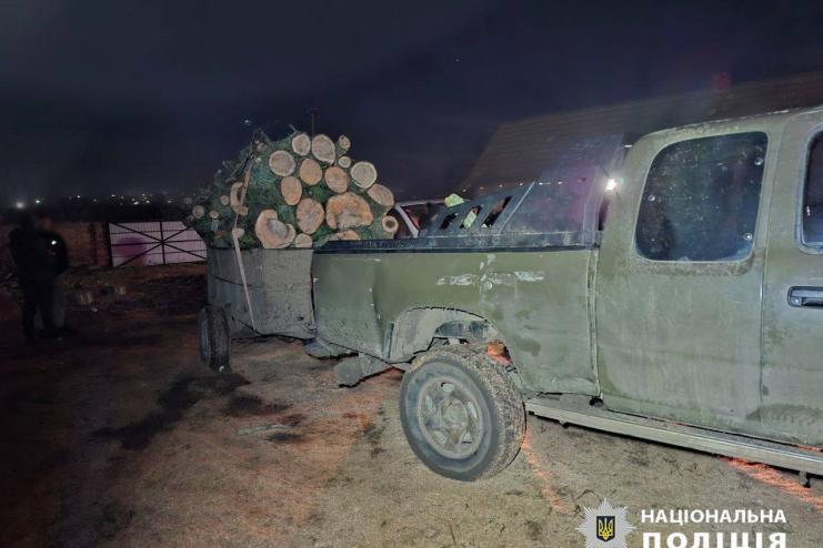 На Одещині викрили організовану групу «чорних» лісорубів: справу передали до суду