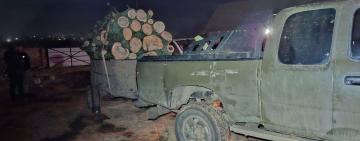 На Одещині викрили організовану групу «чорних» лісорубів: справу передали до суду