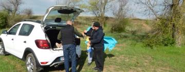 На території Павлівської громади було проведено пероральну імунізацію диких м’ясоїдних тварин від сказу