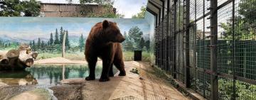 Після смертей тварин і скарг одеситів: в зоопарку розпочнуть перевірку умов утримання