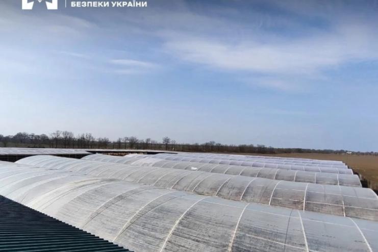 На Одещині викрили 16 нелегальних теплиць для тютюну