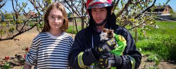 У Татарбунарах врятували кицю, що впала в колодязь