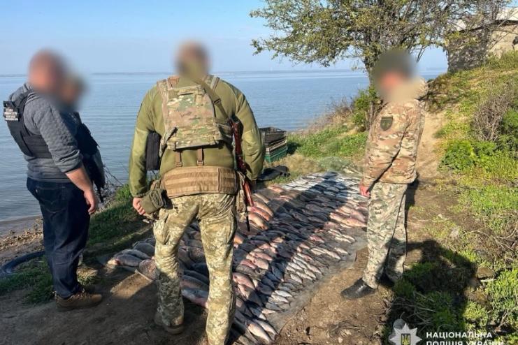 Житель Одещини незаконно наловив риби на Дністровському лимані на 650 тисяч гривень 