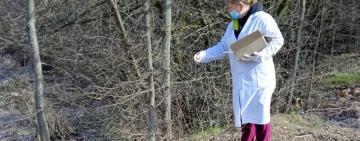 На Одещині завершилася кампанія з імунізації тварин