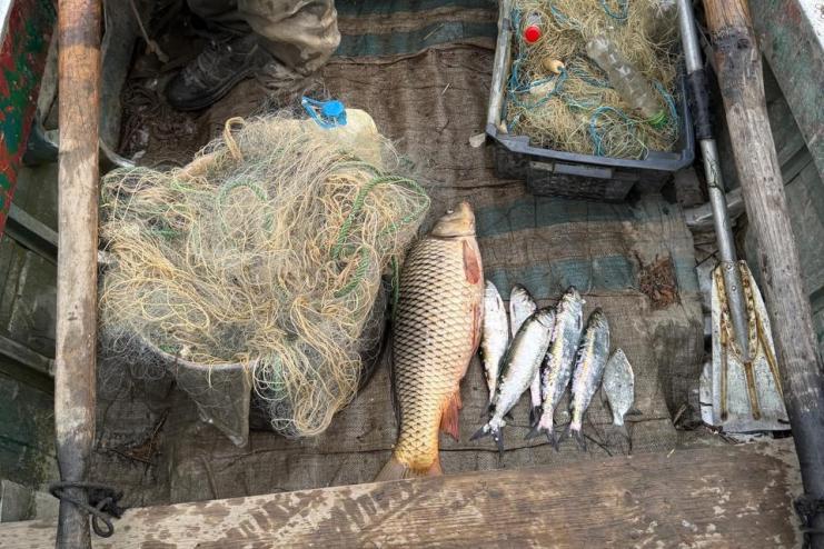 На Одещині викрито порушника, який незаконно ловив рибу в межах Дунайського біосферного заповідника