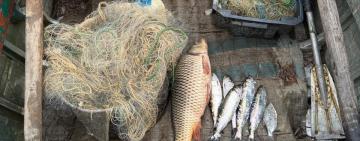 На Одещині викрито порушника, який незаконно ловив рибу в межах Дунайського біосферного заповідника