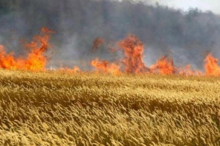 Вогонь на полях: 32 пожежі в агросекторі Болградського району протягом 2024 року