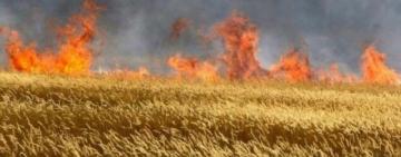 Вогонь на полях: 32 пожежі в агросекторі Болградського району протягом 2024 року