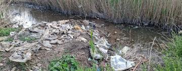 На Одещині вмирає річка Хаджидер: еколог Іван Русєв б’є на сполох