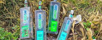 На Одещині рожеві фламінго залишили гнізда через поведінку людей