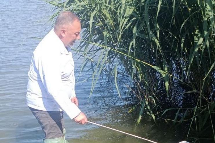 На Одещині виявлено 4 види комарів, які можуть бути переносниками малярії