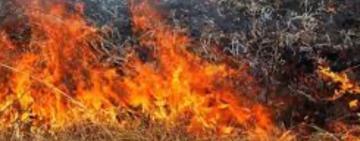 На Одещині при загорянні сухої трави постраждав чоловік