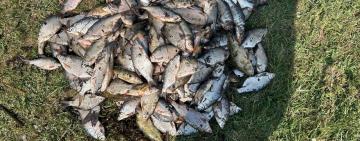 46-річний житель Болградського району завдав державі збитків на понад 320 тисяч гривень