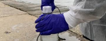 На яких пляжах Одещини можна купатися за результатами лабораторних досліджень