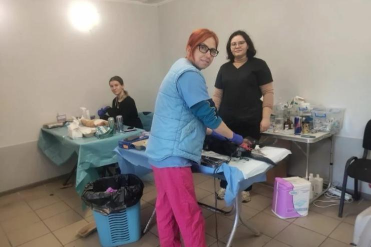 У Сараті втретє провели безкоштовну акцію зі стерилізації тварин