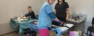 У Сараті втретє провели безкоштовну акцію зі стерилізації тварин