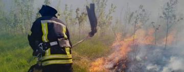 В Ізмаїльському районі рятувальники ліквідували масштабну пожежу на полі 