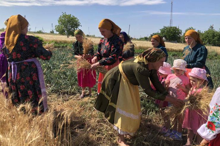 На Тарутинщині стартували жнива: громада відзначила початок «Зажинками»