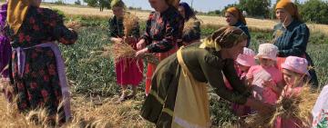 На Тарутинщині стартували жнива: громада відзначила початок «Зажинками»