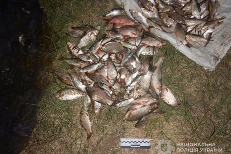 Незаконний вилов у Дністровському лимані: збитки — понад 360 тисяч гривень