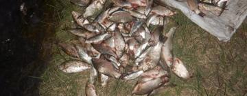 Незаконний вилов у Дністровському лимані: збитки — понад 360 тисяч гривень